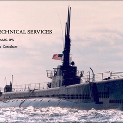 USS Lionfish (AGSS-298)
